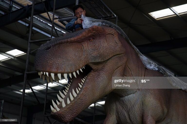 gettyimages-1182112941-2048x2048