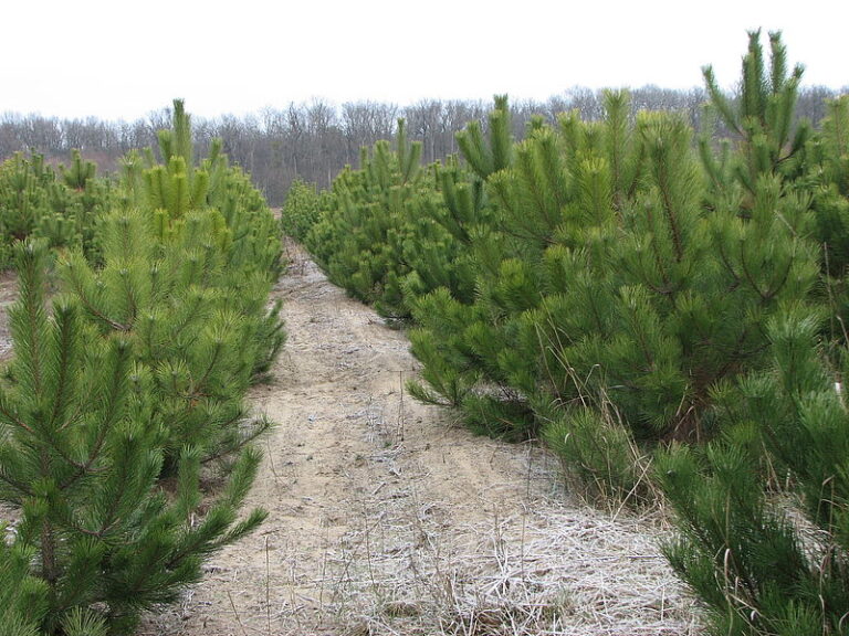 img-3789-d2