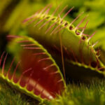 aa5b5f20412c665f057f67e93b0467d0_preview_w440_h290