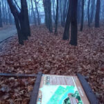 У вінницькому парку вандали пошкодили інформаційний стенд
