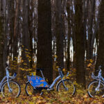 Міська влада підвела підсумки проєкту Nextbike 2020 року