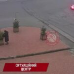 Вінничанка викрала прикраси з вуличних ялинок