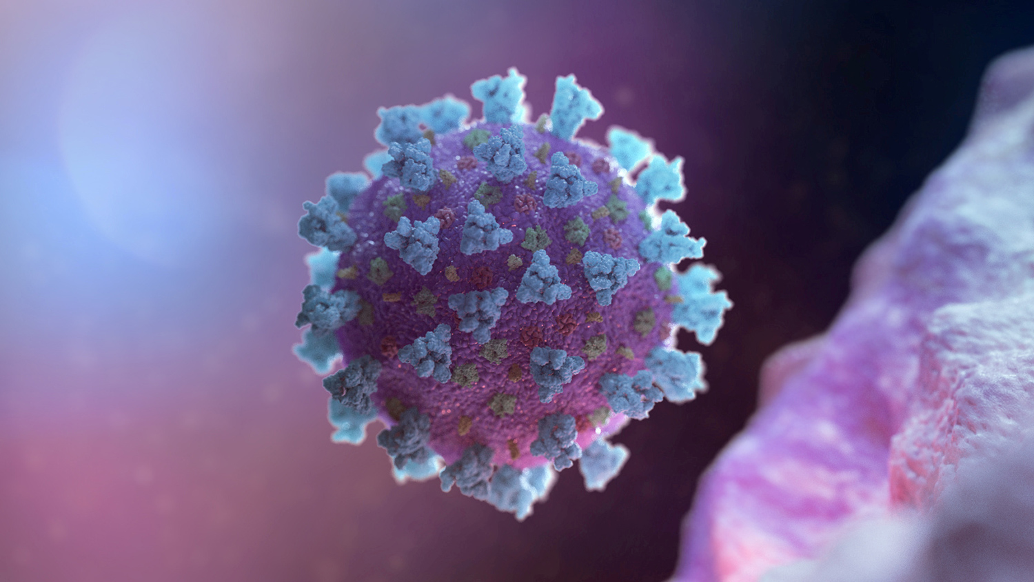 A computer image created by Nexu Science Communication together with Trinity College in Dublin, shows a model structurally representative of a betacoronavirus which is the type of virus linked to COVID-19