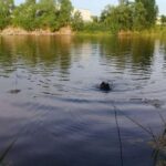 Вінницькі рятувальники витягнули літню вінничанку, яка тонула у воді