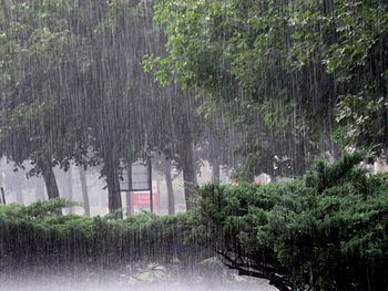 Heavy_raining_in_Ajdovščina._(5985812613)