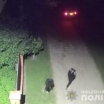 Двоє жінок на Вінниччині напали на чоловіка та відібрали 2 тисячі гривень