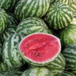 У Вінниці змінили правила продажу динь та кавунів