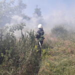 За минулу добу на Вінниччині вогонь знищив майже 7 гектарів сухої трави