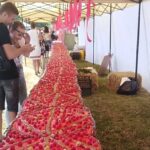 На Вінниччині спекли найбільший в Україні малиновий пиріг