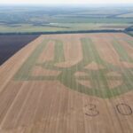 На Вінниччині аграрії висіяли величезний тризуб із гірчиці. ФОТО