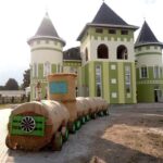 Солом’яний потяг “із позитивною енергетикою” встановили у Подільському зоопарку