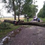 Цієї ночі на Вінниччині негода повалила дерева