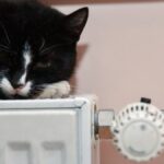 Очільники трьох міст озвучили свої вимоги щодо опалювального сезону