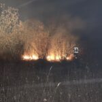 На Вінниччині через необережність згоріло 16 гектарів сухостою