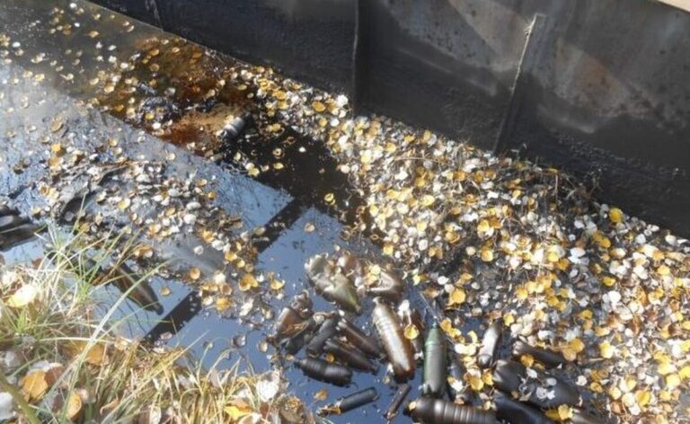 Водні обєкти Вінниця (1)