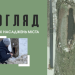 У Вінниці «лікують» дерева