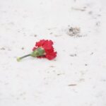 загиблі в аеропорту (7)