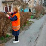 У Вінниці до середини квітня триватиме обрізка гілля та формування «живої» огорожі