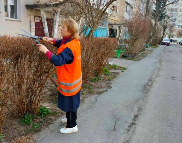 чагарники