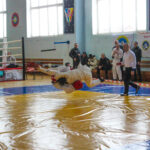 На Вінниччині відновлюють проведення спортивних змагань