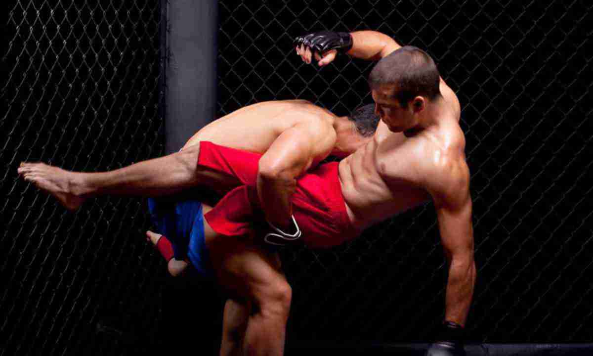 mixed-martial-arts_large