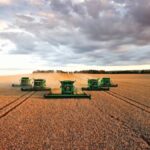 На Вінниччині розпочали обмолот сільськогосподарських культур