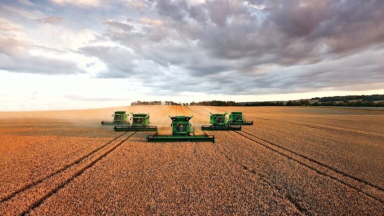 zhnyva-2017-4541