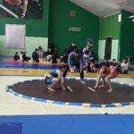 Сумо (1)