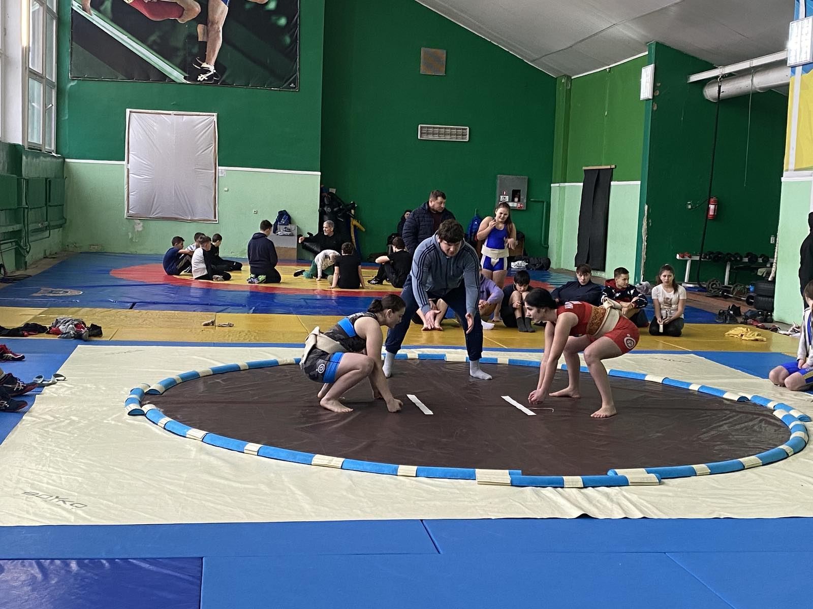 Сумо (1)