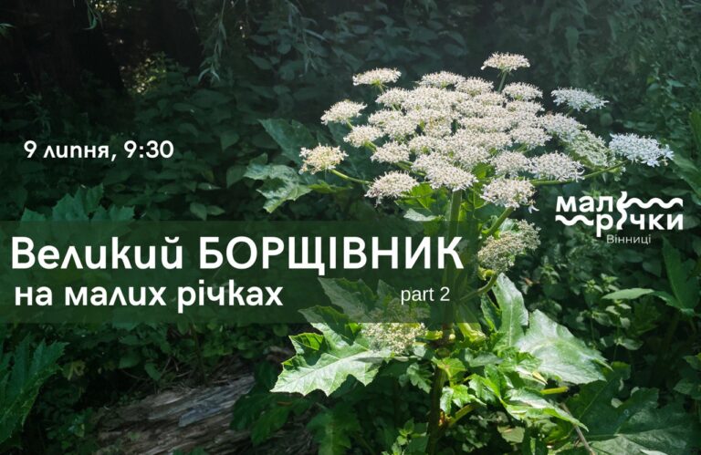 Толока 9 липня
