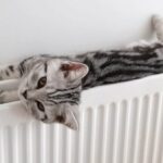 Як відбувається підготовка до опалювального сезону в регіонах