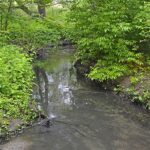 Для чого у Вінниці перевіряють стан малих річок?