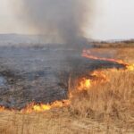 Вінничан штрафуватимуть навіть за залишки згарища від спалювання сухостою