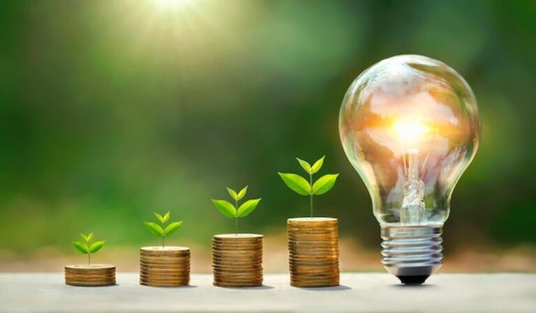 light-bulb-on-wood-with-young-plant-growing-on-coins-stack-saving-power-energy-and-save-money_34152-2974