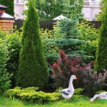 У Вінниці відбудеться зустріч-дискусія «Ідеальний двір та його озеленення»