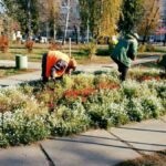 Колектив «Вінницязеленбуд» готують квітники до зими