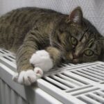 Що робити, якщо зникло опалення