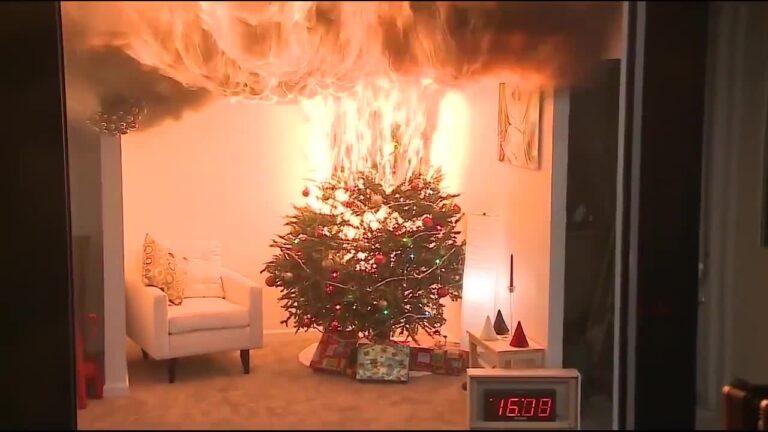 fire-christmas-tree-flat-пожежа-ялинка-квартира