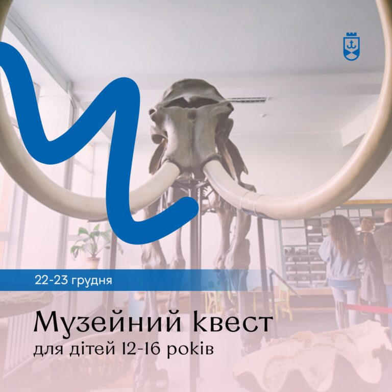 муз квес