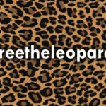 Новий хештег #freetheleopards! До чого тут українці