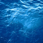 summer-background-of-sea-water