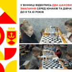 Шахи два чемпіонати