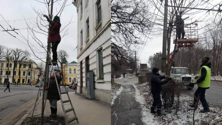 деревааа