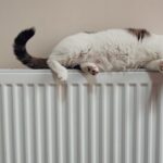 Опалювальний сезон у Вінниці продовжили
