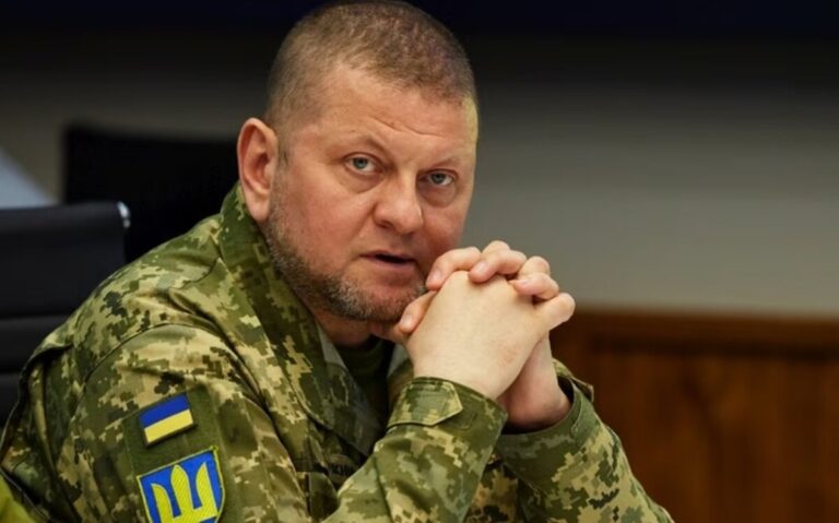 залужний – Google Поиск - Google Chrome
