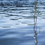 На водоймах Вінниччини за добу загинуло троє людей