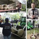 У Вінницькому центральному парку розпочалась весняна висадка: які дерева вже з’явилися?
