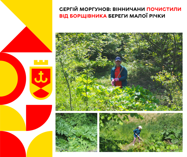 борщівник