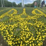 У Вінниці знову на Замковій горі висадили квіткове панно у вигляді Герба України