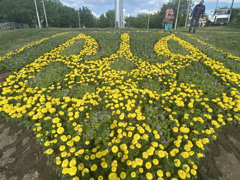 квітник